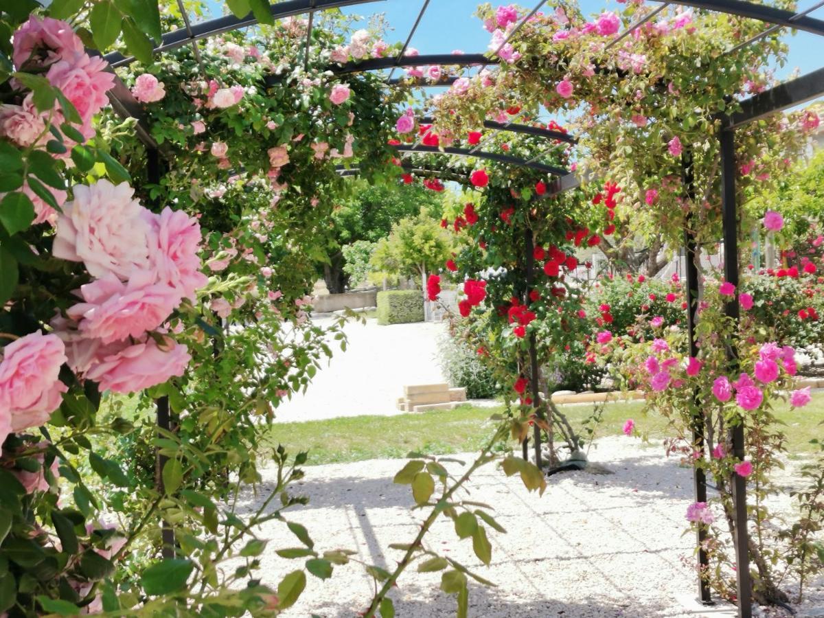 Gite En Provence "Rose" Modene Eksteriør billede
