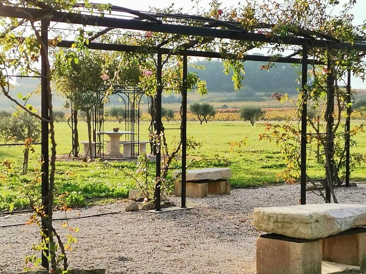 Gite En Provence "Rose" Modene Eksteriør billede