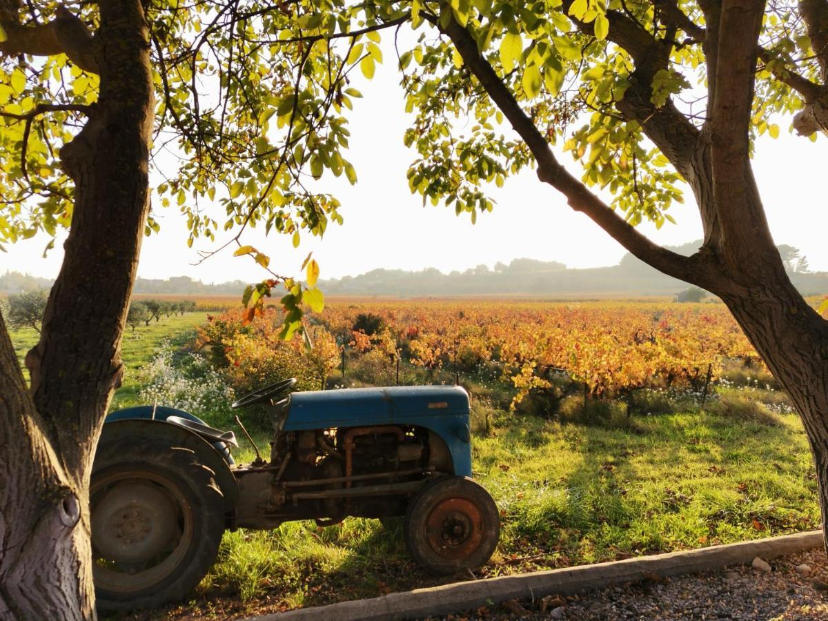 Gite En Provence "Rose" Modene Eksteriør billede