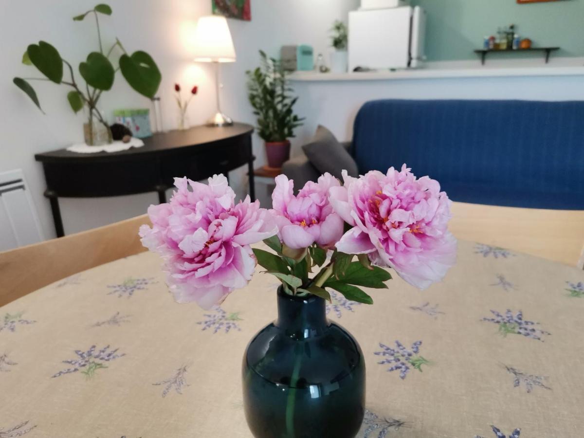 Gite En Provence "Rose" Modene Eksteriør billede