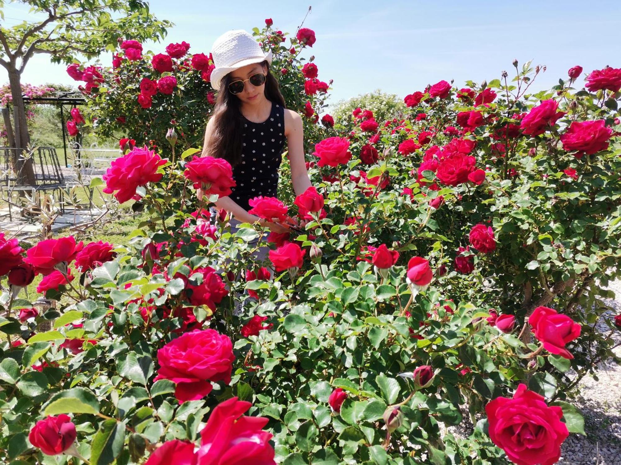 Gite En Provence "Rose" Modene Eksteriør billede